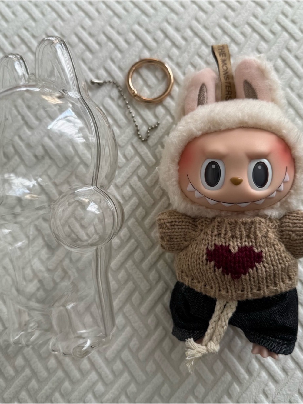 Labubu with Clothes and Protective Case